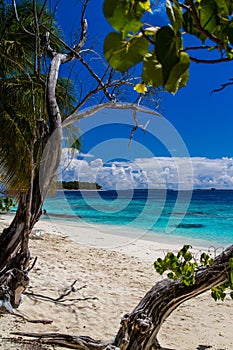 White sandy tropical beach in Maldives