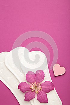 White sanitary pad, hygiene protection on a purple background. Gynecological menstrual cycle. A rose flower lies on a menstrual