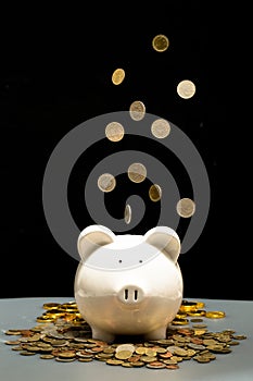 White saving pig with coins falling