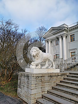A white sculpture of a lion and a staircase at the entrance to the Elaginoostrovsky Palace against the background of the palace,