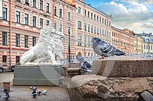 White sculptures of lions on the Lion Bridge over the Griboyedov Canal in St. Petersburg and pigeons