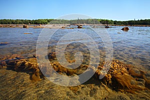 White sea beach on Solovetsky island