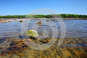 White sea beach on Solovetsky island