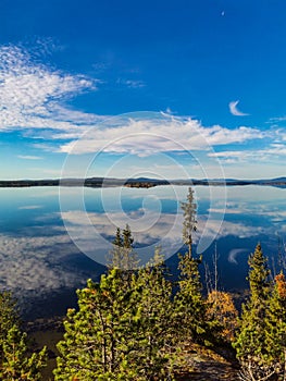 The White Sea coast with trees in the foreground and stones in the water on a sunny day. Karelia.