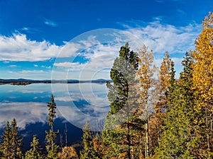 The White Sea coast with trees in the foreground and stones in the water on a sunny day. Karelia.