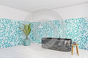 White and sea-green bathroom with bathtub and plant on tiled floor