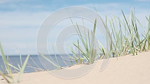 White sea sand with some green grass, dune