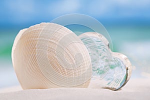 White sea shell with heart glass on beach and sea blue backgrou