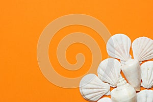 White sea shells of different shapes spiral flat on vibrant orange background. Summer beach seaside vacation spa wellness