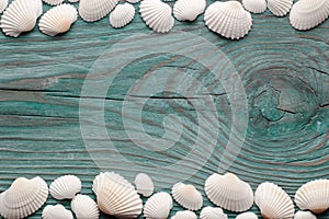 White sea shells forming top and bottom wavy borders on the blue wooden board, view from above