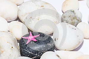 White sea stones