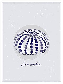 White Sea Urchin with spots. Vintage style poster. Hand drawn graphic design collection. Vector illustration.