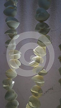 White seashell mobile