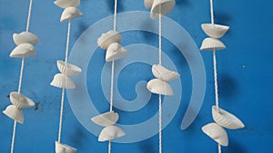 White seashell mobile