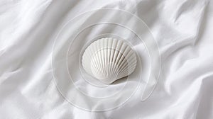 A white seashell rests on a white fabric.