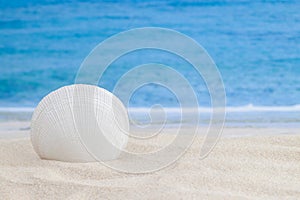White seashell standing on sandy tropical beach surface and sea or ocean waves on the background horizontal macro wallpaper