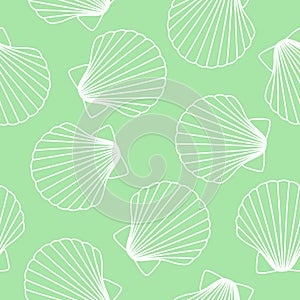 White seashells on light green background sea ocean shell patter