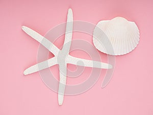 White seashells and starfish on pink corrugated paper, copy space