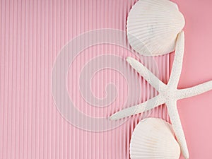 White seashells and starfish on pink corrugated paper, copy space