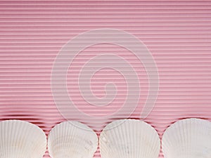 White seashells and starfish on pink corrugated paper, copy space