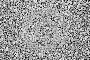 White seeds and grains of cereals background texture