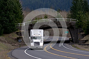 White semi truck with bridge and trees background