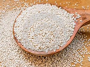 White sesame seeds grains whitetill sufaidtill food ingredient image stock photo