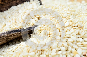 White sesame on table