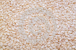 White sesames seed background