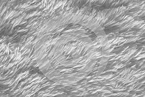 White shag background