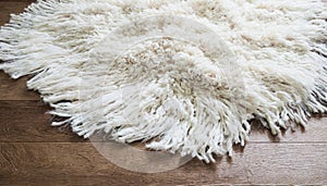 White shaggy carpet on brown wooden floor