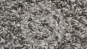 White shaggy carpet texture, rug with short wool background