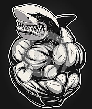 White shark bodybuilder photo