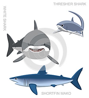 White Shark Set Cartoon Vector Illustration
