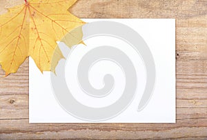 White sheet with autumn leaves on a wooden texture.