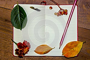 A white sheet of a notebook, autumn yellow and green leaves, berries of a guelder-rose, a pencil on a wooden background.