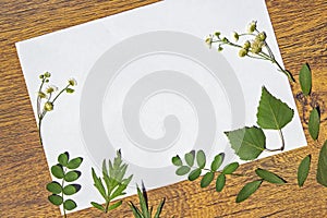 White sheet of a paper with a frame of dried plants