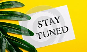 White sheet of paper with the inscription STAY TUNED on a bright yellow background near the green leaf of the plant. Eco natural