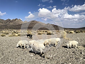 white sheets and mountain and white cloud and sky