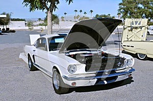 White Shelby Ford Mustang GT350