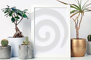 White shelf in the house with plants in pots and white frame mockup. Cacti, bonsai and yuka in a golden casing.