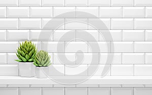 White shelf on tiled wall with green potted plants