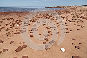 White Shell and Scattered Rocks at Cavendish Beach