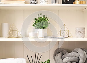 White shelving unit with plant and decorative stuff