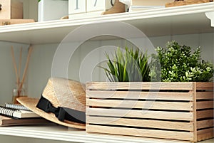 White shelving unit with plants and hat