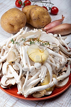 White shimeji edible mushrooms native to East Asia, buna-shimeji is widely cultivated and rich in umami tasting compounds.