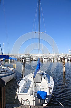 White ship docked on seaside