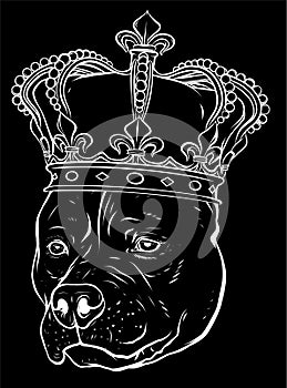 white silhouette of Dog with crown illustration on black background