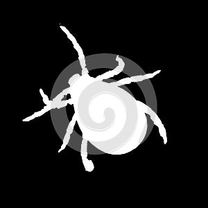 White silhouette of a mite isolated on a black