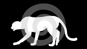 White silhouette of a moving cheetah. Alpha channel. Alpha matte. FullHD.